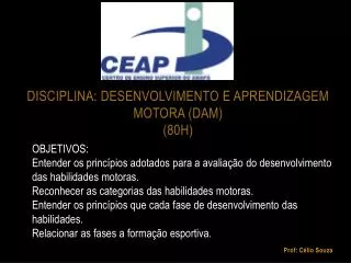 Ppt Teorias Do Desenvolvimento E Da Aprendizagem Powerpoint