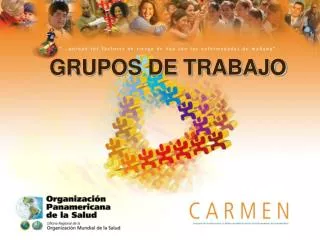 Ppt Conformacion Grupos Tecnicos De Trabajo Cuenca Piloto Chancay