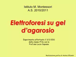 PPT Elettroforesi Su Gel D Agarosio PowerPoint Presentation Free