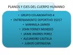 PPT PLANOS Y EJES DEL MOVIMIENTO HUMANO PowerPoint Presentation Free