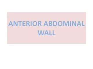 Ppt Anatomy Of Anterior Abdominal Wall Powerpoint Presentation Free