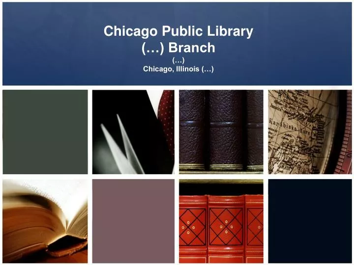 chicago public library branch chicago illinois
