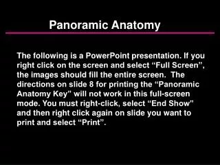 Panoramic Anatomy
