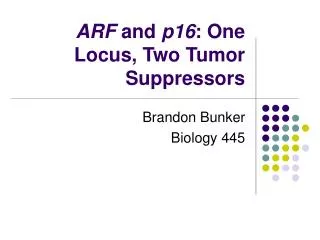 ARF and p16 : One Locus, Two Tumor Suppressors