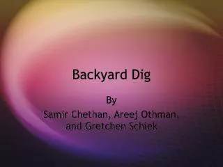 Backyard Dig