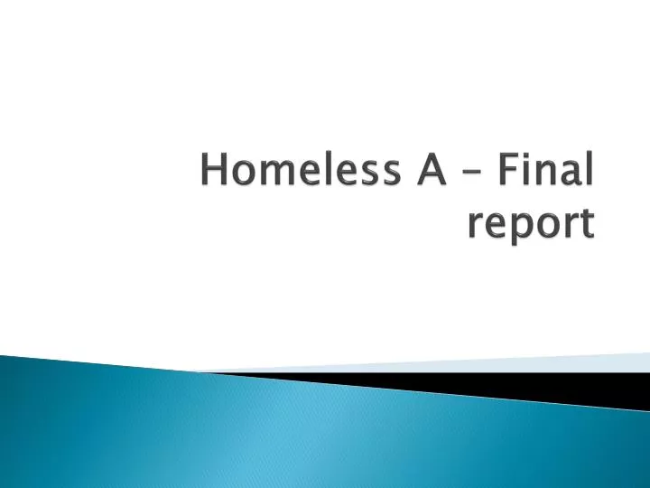 homeless a final report