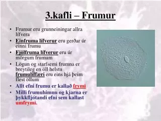 3 kafli frumur