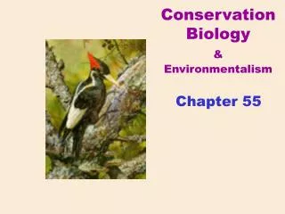 Conservation Biology &amp; Environmentalism