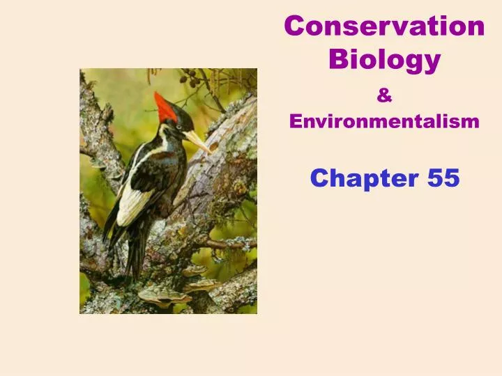 conservation biology environmentalism