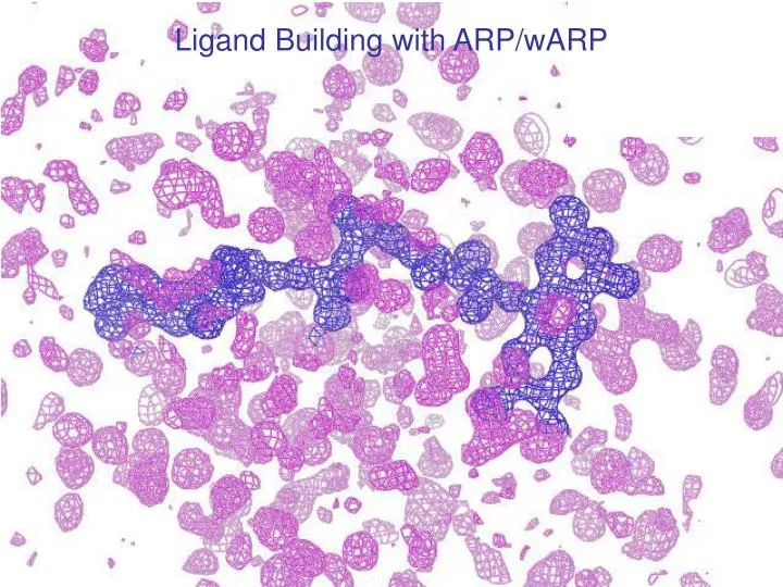 ligand building with arp warp