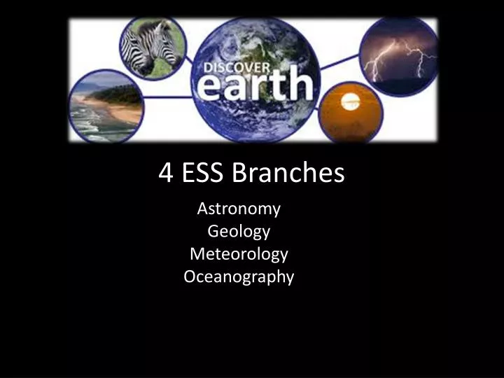 4 ess branches