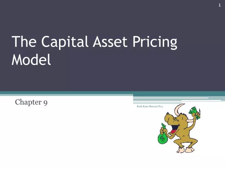 the capital asset pricing model