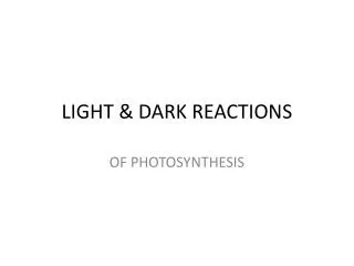 LIGHT &amp; DARK REACTIONS