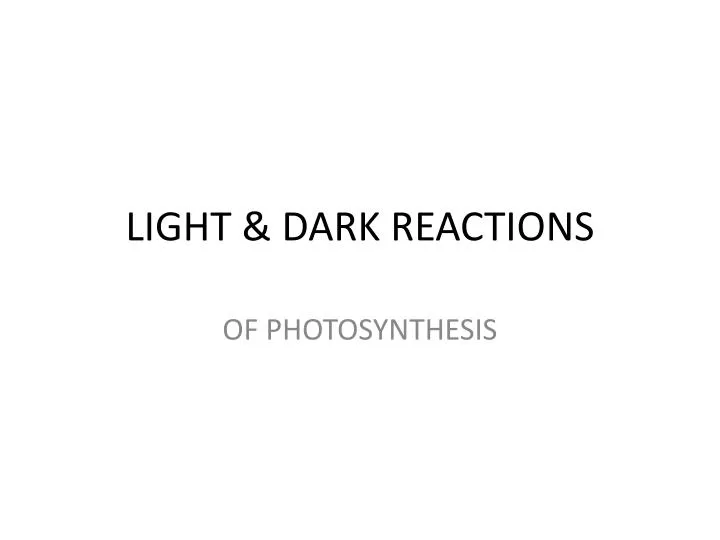 light dark reactions