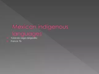 Mexican indigenous languages