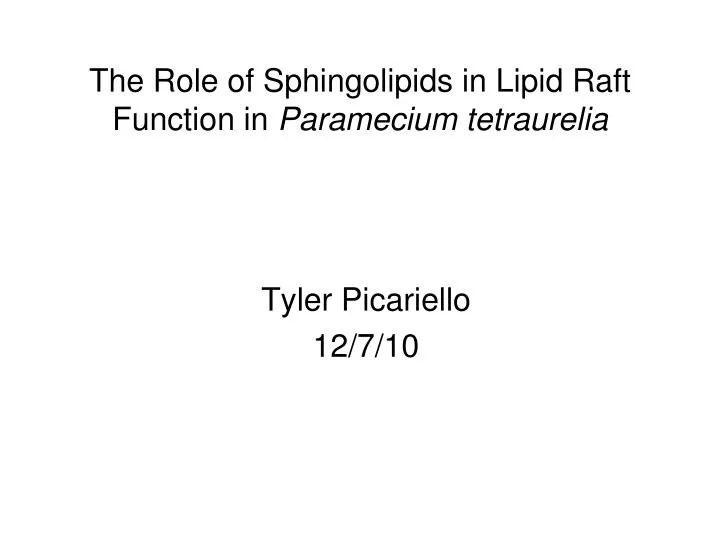 the role of sphingolipids in lipid raft function in paramecium tetraurelia