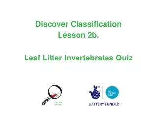 Discover Classification Lesson 2b. Leaf Litter Invertebrates Quiz