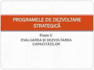 programele de dezvoltare strategic