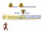nsect dentification from raps - slide 1