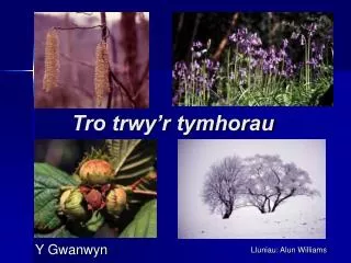 tro trwy r tymhorau