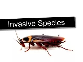 Invasive Species