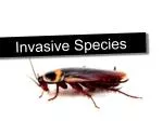Invasive Species - slide 1
