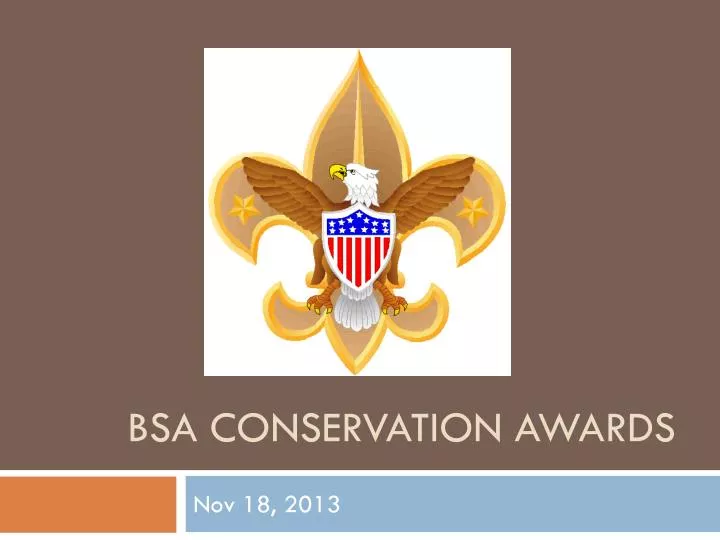 bsa conservation awards