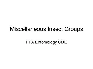 Miscellaneous Insect Groups