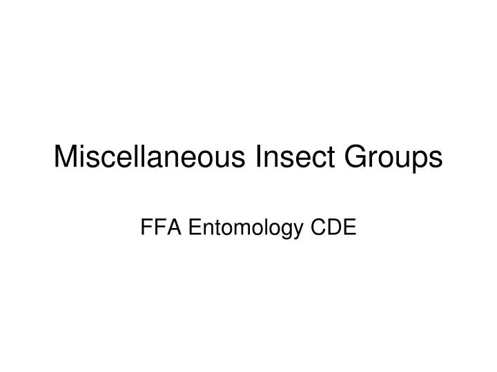 miscellaneous insect groups