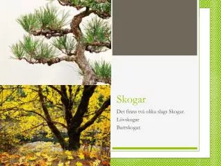 skogar