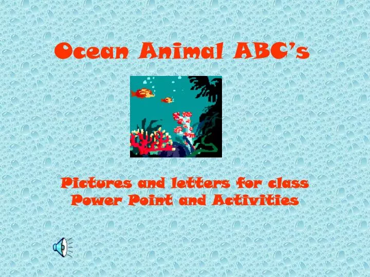 ocean animal abc s