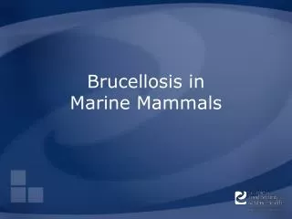 Brucellosis in Marine Mammals