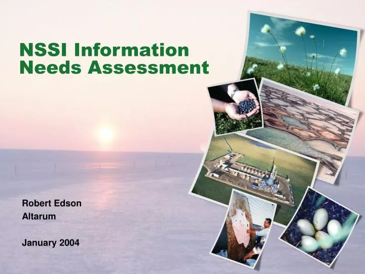 nssi information needs assessment