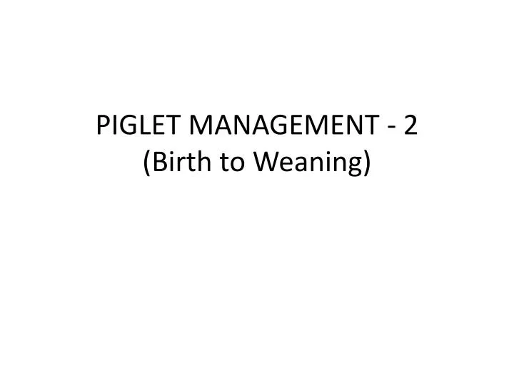 piglet management 2 birth to weaning
