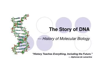 The Story of DNA