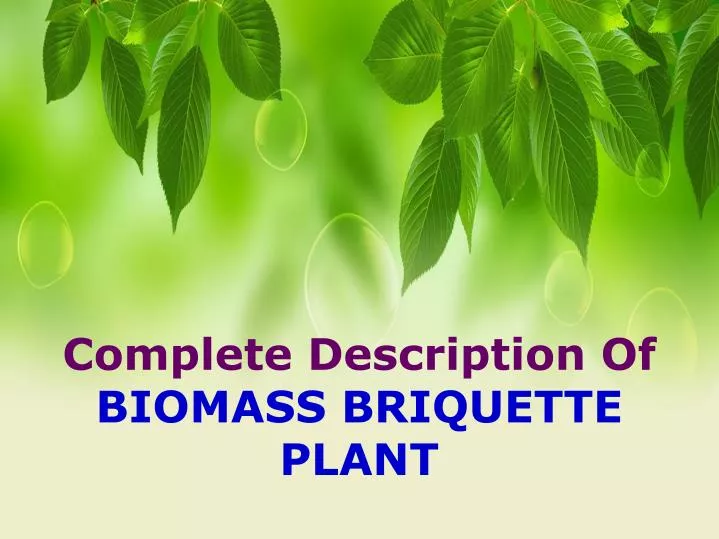 complete description of biomass briquette plant