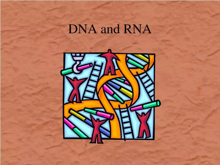 dna and rna