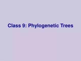 Class 9: Phylogenetic Trees
