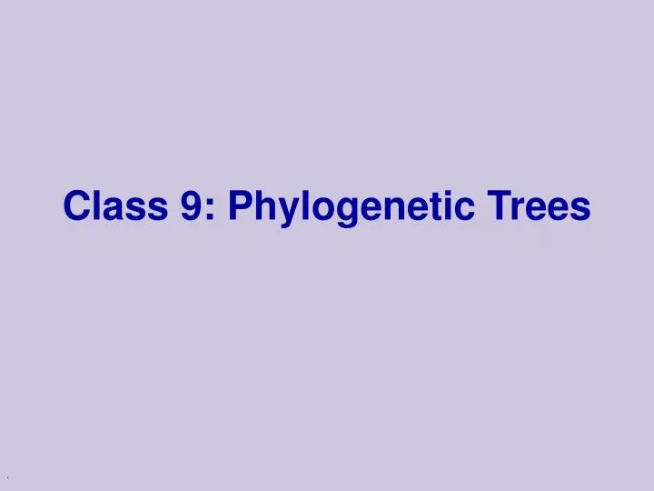 class 9 phylogenetic trees