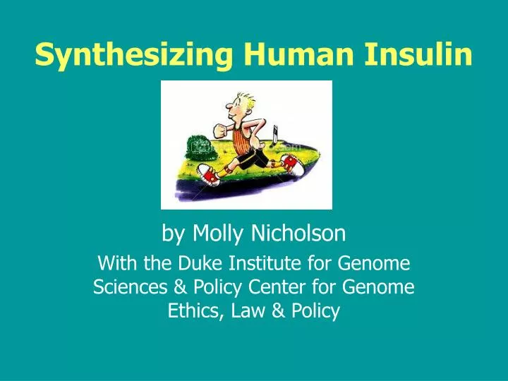 synthesizing human insulin