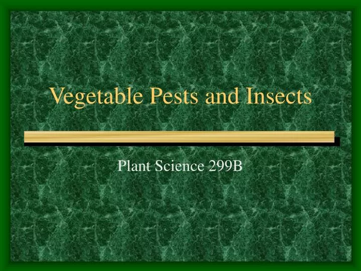 vegetable pests and insects