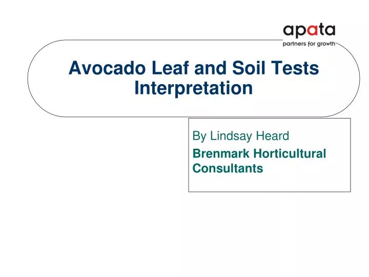 avocado leaf and soil tests interpretation