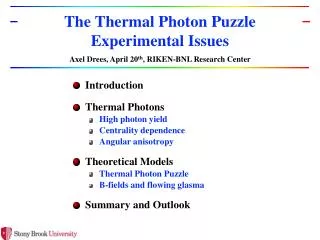 T he Thermal Photon Puzzle Experimental Issues