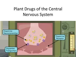 plant drugs of the central nervous system