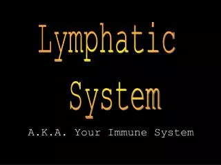 Lymphatic System