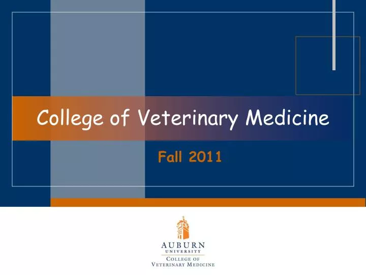 college of veterinary medicine