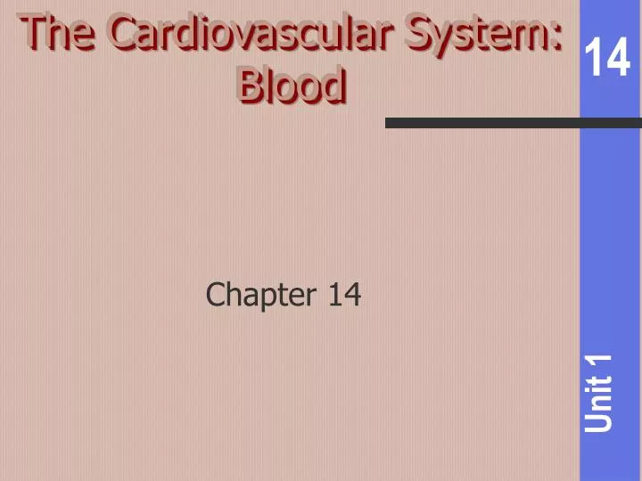 the cardiovascular system blood