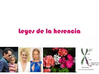 leyes de la herencia