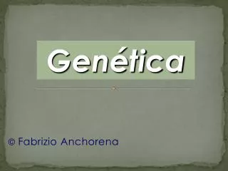fabrizio anchorena