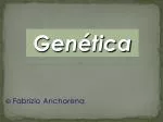 Fabrizio Anchorena - slide 1